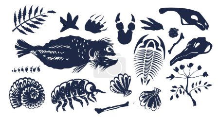 Ilustración de Criatura prehistórica, huesos, animales submarinos, esqueleto de peces, conchas, escarabajos, huellas y plantas fósiles silueta vector ilustración aislado sobre fondo blanco - Imagen libre de derechos