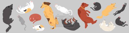 Téléchargez les photos : Mignons animaux de compagnie endormis vue de dessus avec des chats et des chiens couchés dans l'illustration vectorielle pose différente isolé sur fond blanc. Animaux domestiques détendus, chiot paresseux et chaton personnages de dessins animés - en image libre de droit