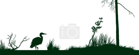 Ilustración de Silueta aislada del pantano. Escena del pantano. Dibujo negro de garza y plantas de fen. Paisaje forestal con pájaro en viejo estanque. Banner horizontal de la naturaleza. Plantilla de arte de pantano. Ilustración vectorial - Imagen libre de derechos