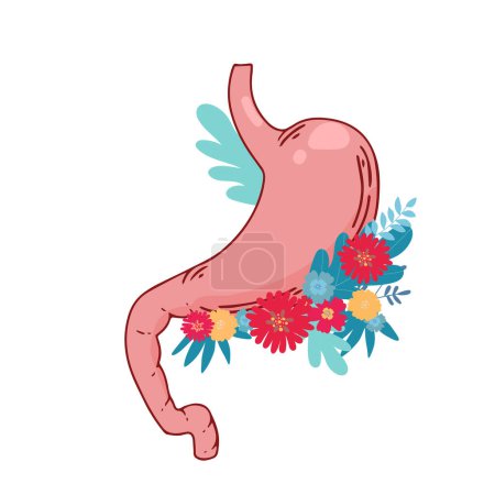 Ilustración de Estómago humano. Órgano interno, anatomía. Ilustración de iconos planos de dibujos animados vectoriales aislados sobre fondo blanco - Imagen libre de derechos