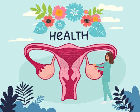 Illustration for Female menstrual cycle. Female doctor tracking menstrual cycle. Vector illustration of female reproductive system - Royalty Free Image