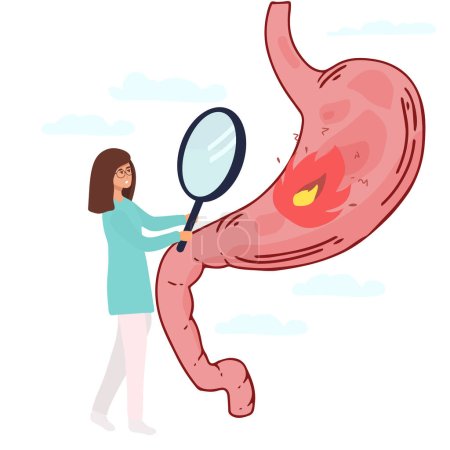 Téléchargez les illustrations : Un groupe de médecins vérifie l'estomac humain. Un médecin tenant loupe zoom au niveau de l'estomac, dame Médecin utilisant le stéthoscope, expliquant les symptômes et le traitement, le système digestif, intestinal et gastro - en licence libre de droit