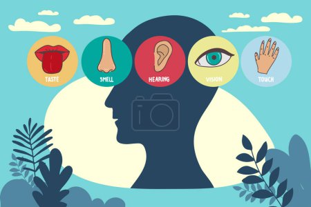 Illustration for Five human senses line icons set. Vision, smell, hearing, touch, taste icons. Human sensory organs. Eye, nose, ear hand mouth icon set - Royalty Free Image