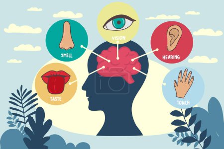 Illustration for Five human senses line icons set. Vision, smell, hearing, touch, taste icons. Human sensory organs. Eye, nose, ear hand mouth icon set - Royalty Free Image
