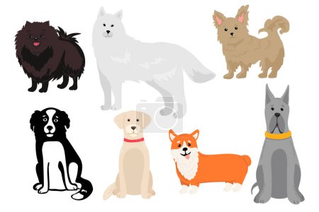 Illustration for Dogs collection. Vector illustration of funny cartoon different breeds dogs in trendy flat style. Isolated on white. - Royalty Free Image