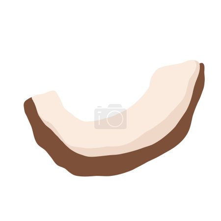 Ilustración de Trozos de coco con hojas aisladas sobre fondo blanco. Ilustración vectorial realista
. - Imagen libre de derechos