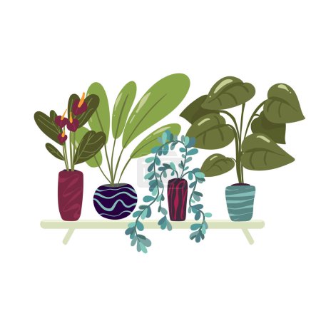 Téléchargez les illustrations : Collection de plantes d'intérieur plates bio Illustration vectorielle. Isolé sur blanc - en licence libre de droit