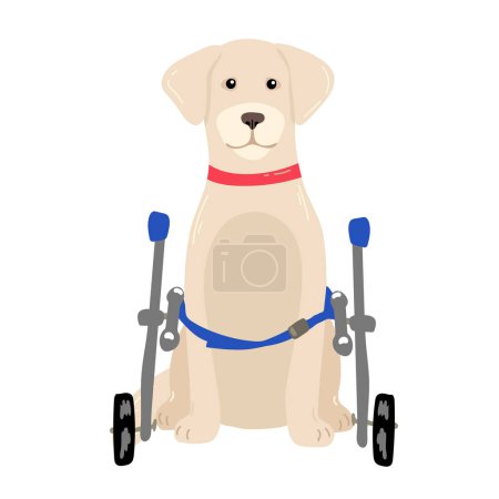 Ilustración de Perro en silla de ruedas para las patas traseras. Ilustración vectorial en un estilo plano
, - Imagen libre de derechos