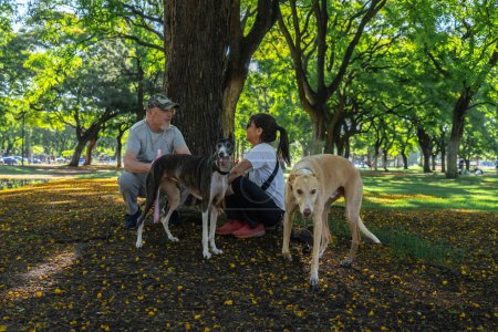 Téléchargez les photos : Un homme et une femme amis bavarder et profiter du parc avec leurs animaux de compagnie, assis sur l'herbe sous un arbre. Concept de vie en plein air. - en image libre de droit