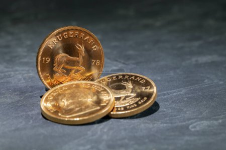 Téléchargez les photos : Gold krugerrand coins isolated on gray background - en image libre de droit