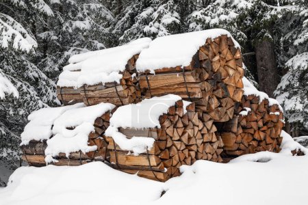 paquets avec des morceaux de bois de chauffage en hiver