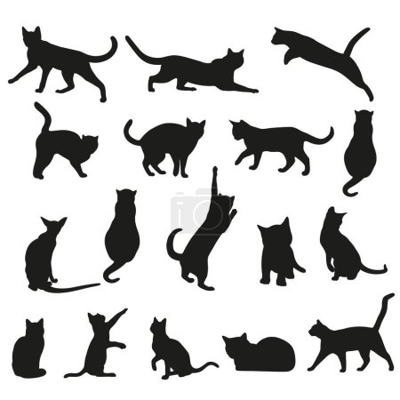Foto de Siluetas gato colección vector ilustración - Imagen libre de derechos