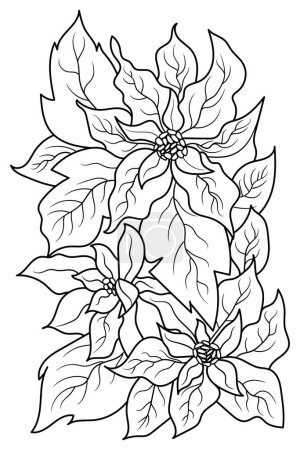 Illustration for Poinsettia flower coloring page for adults. Vector illustration - Royalty Free Image