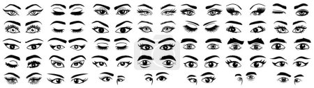 Illustration for Set of different human eyes silhouette. Eye shapes with eyelash. Hand drawn Eyebrow  vector illustration - Royalty Free Image