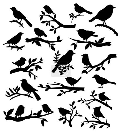 Foto de Set de silueta de pájaro y ramita. Aves en una rama Ilustración vectorial - Imagen libre de derechos