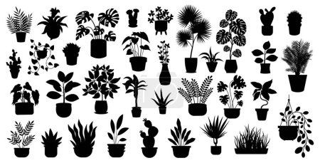 Foto de Conjunto de diferentes siluetas de plantas de interior macetas. flores o plantas de interior en macetas o floreros colección de ilustraciones de vectores planos - Imagen libre de derechos
