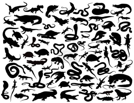 Téléchargez les illustrations : Silhouettes de reptiles ensemble. Vecteur isolé sur fond blanc - en licence libre de droit