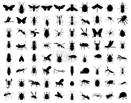 Gran conjunto de siluetas de insectos. Ilustraciones vectoriales aisladas sobre fondo blanco