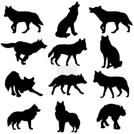 Téléchargez les illustrations : Illustration vectorielle de jeu de silhouette Wolf - en licence libre de droit