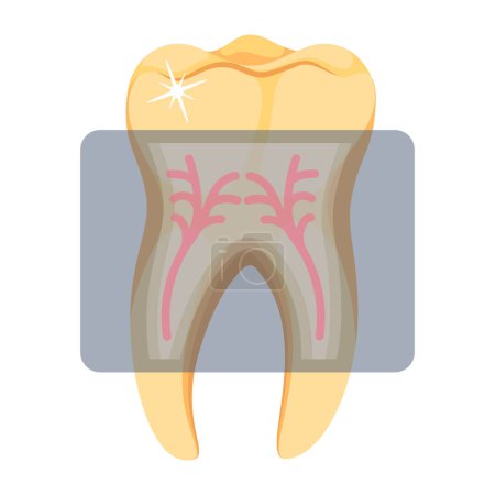 Illustration for Toothache icon designed in a flat style - Royalty Free Image