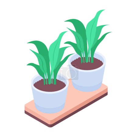 Téléchargez les illustrations : Illustration vectorielle isométrique des plantes en pot - en licence libre de droit