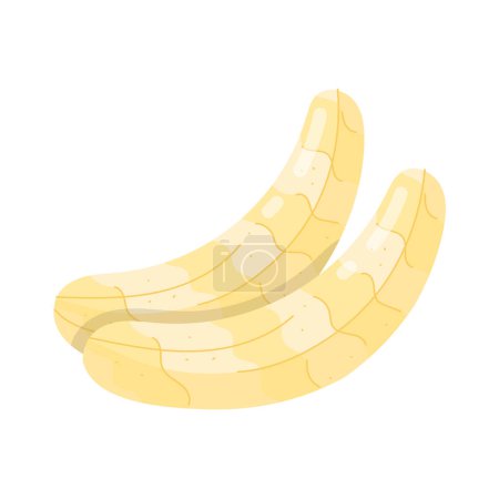 Foto de Vector ilustración de plátanos pelados icono aislado sobre fondo blanco - Imagen libre de derechos
