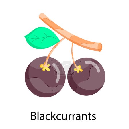 blackcurrants. cartoon-style illustration.