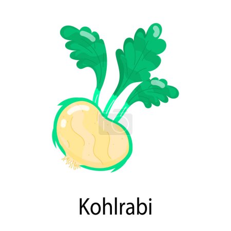 Ilustración de Kohlrabi icon vector illustration - Imagen libre de derechos
