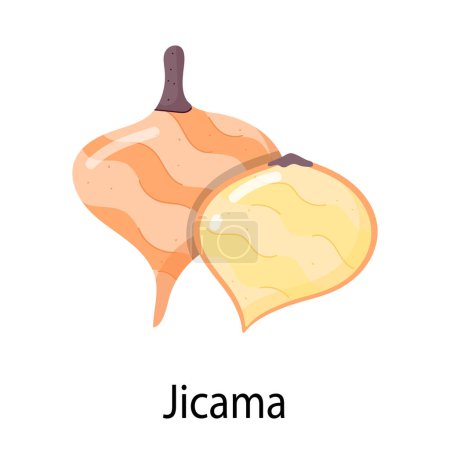Téléchargez les illustrations : Jicama icon vector illustration - en licence libre de droit