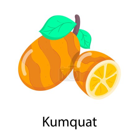 Foto de Kumquat icono vector ilustración - Imagen libre de derechos