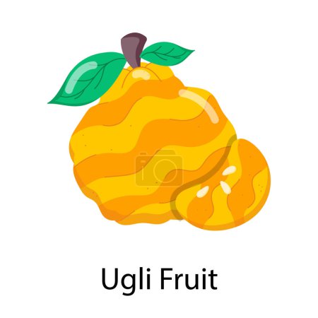 Foto de Vector ilustración de dibujos animados de fruta ugli. objeto aislado. - Imagen libre de derechos