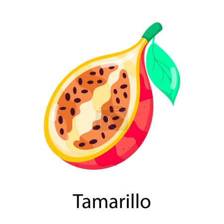 vector design of tamarillo on white background. 
