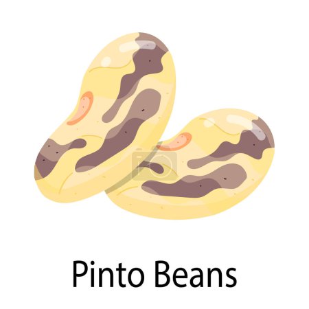 vector design of pinto beans icon. 