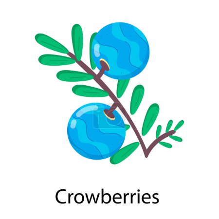 Foto de Crowberries icono vector ilustración - Imagen libre de derechos