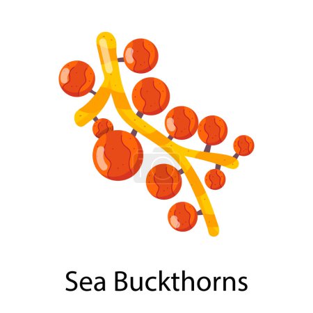 sea buckthorns icon vector illustration