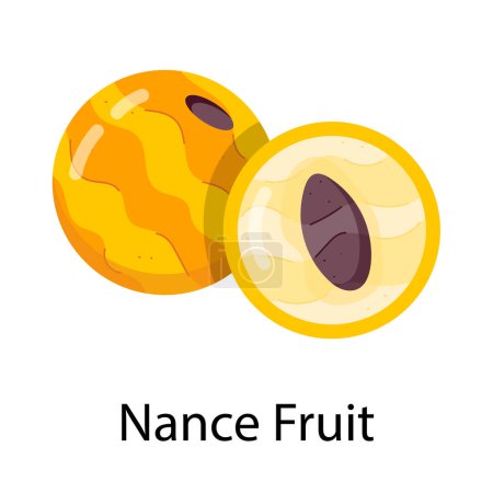 nance Frucht Symbol Vektor Illustration