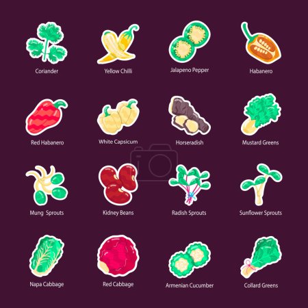 ensemble de différents types de légumes