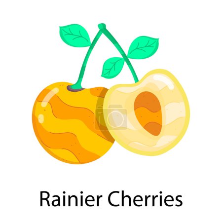 rainier cherries icon vector illustration