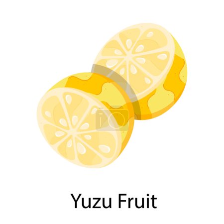 Téléchargez les illustrations : Illustration vectorielle d'icône de fruit yuzu - en licence libre de droit