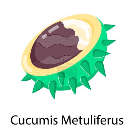 chestnut cucumis metuliferus icon vector illustration