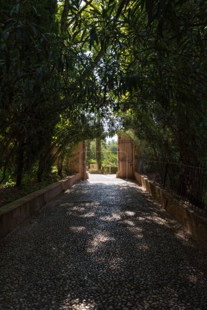 Photo for Paseo de las oleanders in the Generalife, which is a path full of vegetation that provides darkness - Royalty Free Image