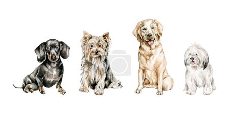 Foto de Juego de diferentes razas de perros, aislados sobre fondo blanco - Imagen libre de derechos