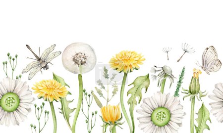 Aquarelle bordure horizontale avec des fleurs et des herbes sauvages, libellule et papillon