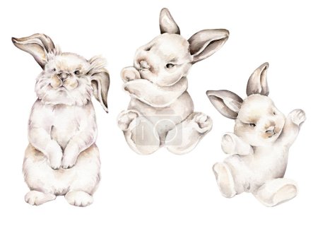 Téléchargez les photos : Aquarelle dessinée à la main collection de lapin isolé sur white.watercolor lapin - en image libre de droit