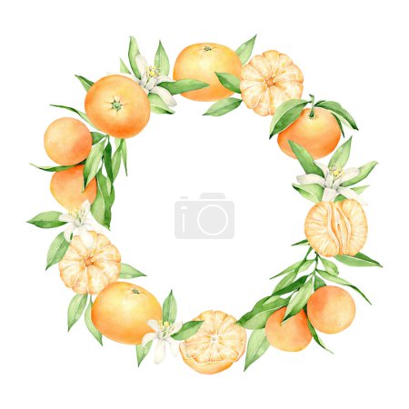 Photo for Watercolor hand drawn illustration of citrus fruit. frame. - Royalty Free Image