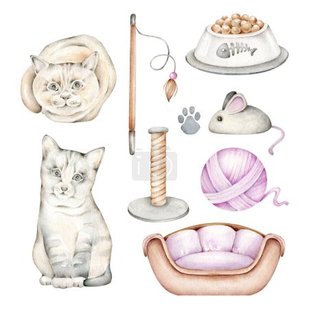 Foto de Set de ilustración de acuarela con gatos y accesorios - Imagen libre de derechos