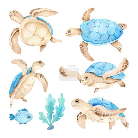 Téléchargez les photos : Aquarelle tortues ensemble, Vie marine - en image libre de droit