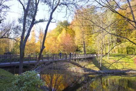 Photo for Bridge in autumn park in Mezhyhirya (former ex-president residence of President Yanukovych) in Kyiv region, Ukraine - Royalty Free Image