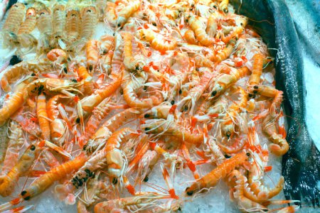 Shrimps for sale at the fish market in Split, Croatia