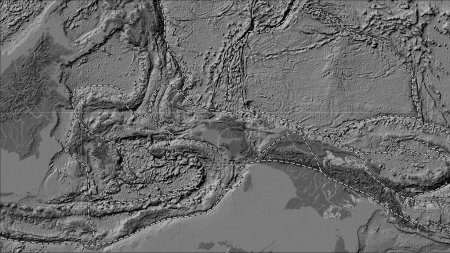 Téléchargez les photos : Limites des plaques tectoniques adjacentes à la plaque tectonique Birds Head sur la carte d'élévation bilevel dans la projection cylindrique (oblique) Patterson - en image libre de droit